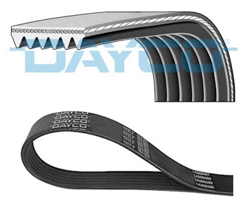 Ribbed belt fits - belt, mini