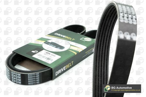 Alternator belt ribbed - belt,