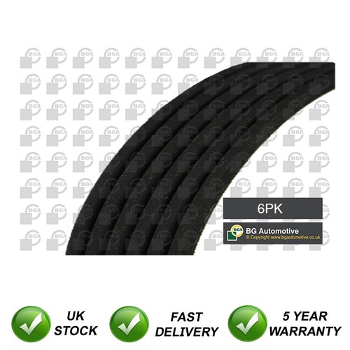 Ribbed drive belt sjr - v, fits
