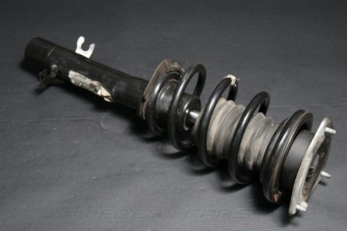 9813655 strut shock absorber - strut,